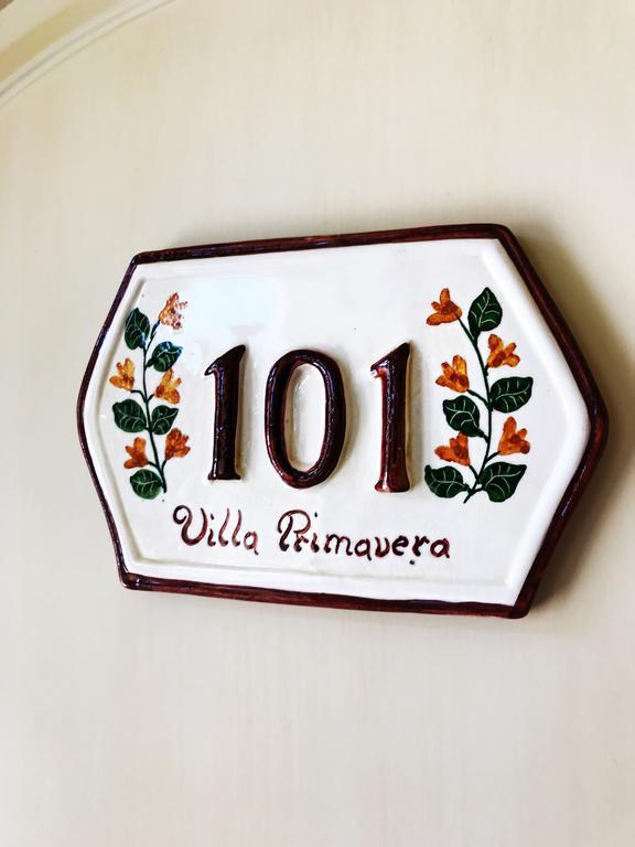 B&B Villa Primavera Piza Zewnętrze zdjęcie